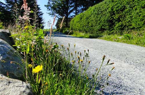 rock driveway delivery Eugene